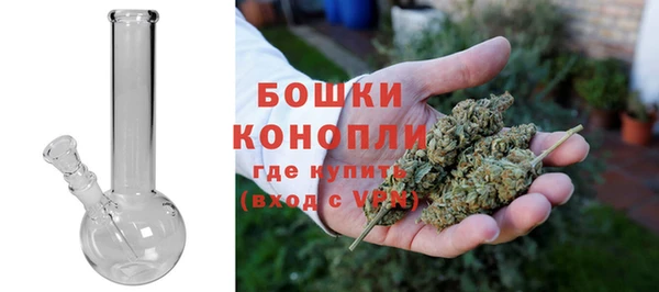 индика Иннополис